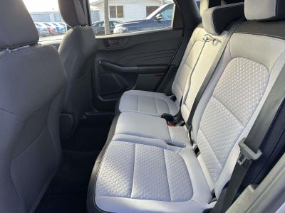 2024 Ford Escape Active AWD