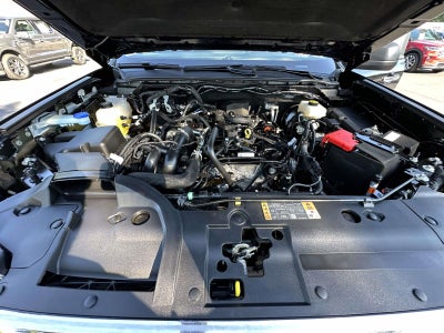2024 Ford Ranger XLT 4WD SuperCrew 5' Box