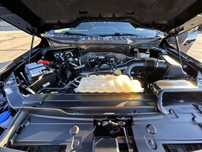 2023 Ford F-150 XLT 4WD SuperCrew 5.5' Box