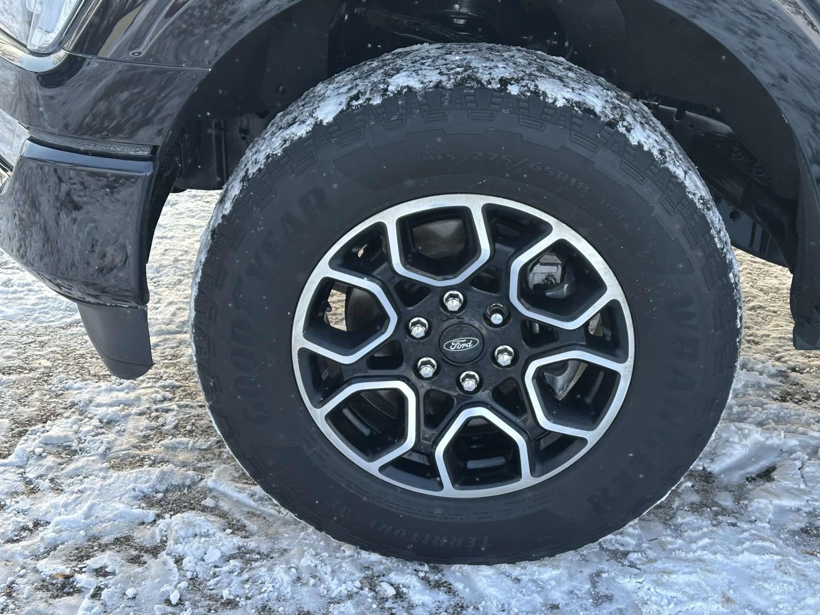 2023 Ford F-150 XLT 4WD SuperCrew 5.5' Box