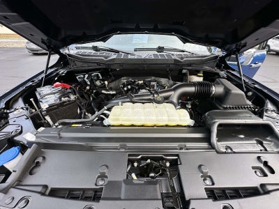 2024 Ford F-150 XLT 4WD SuperCrew 5.5' Box