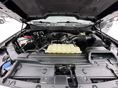 2021 Ford F-150 XLT 4WD SuperCrew 5.5' Box