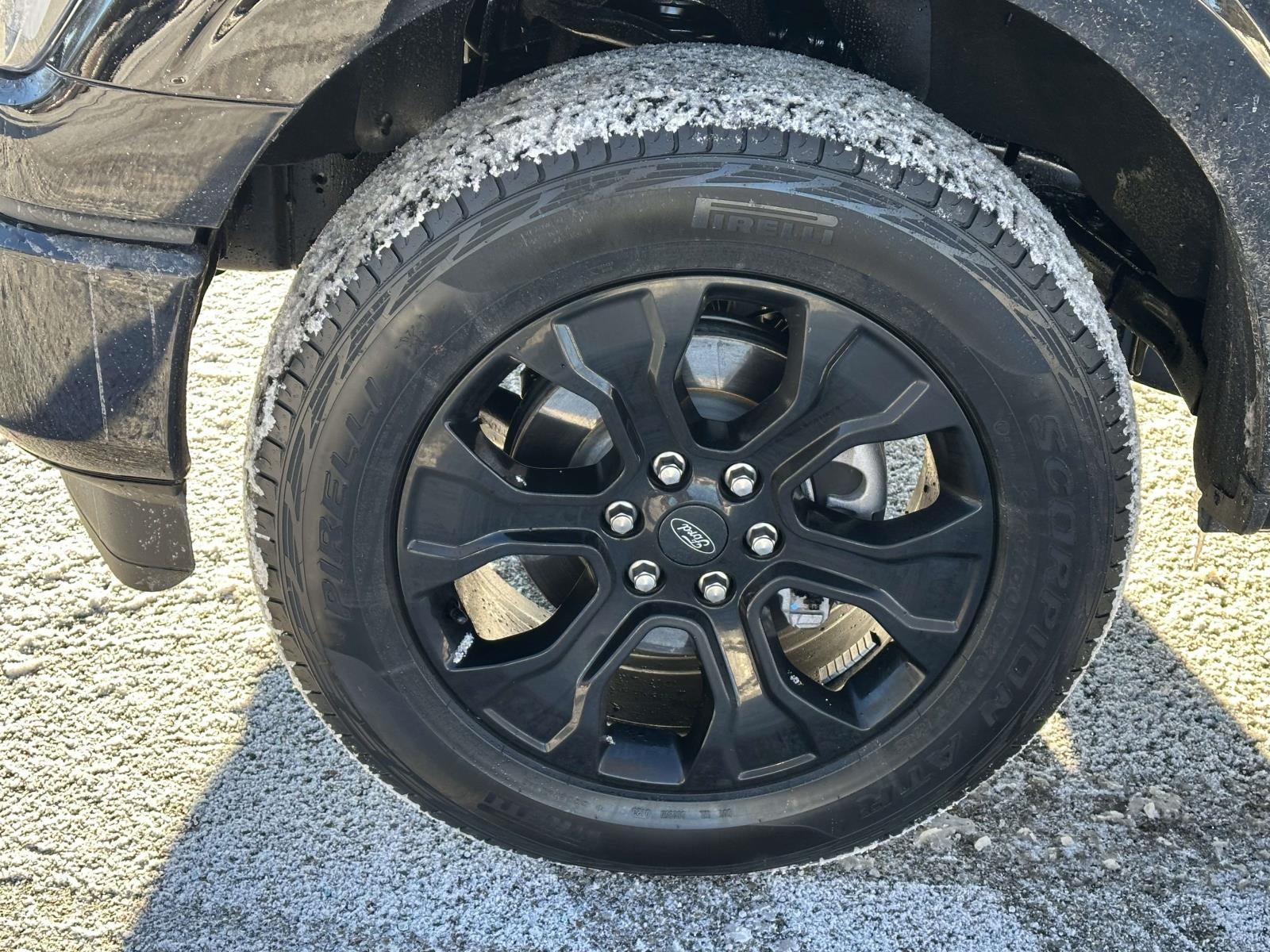 2023 Ford F-150 XLT 4WD SuperCrew 5.5' Box