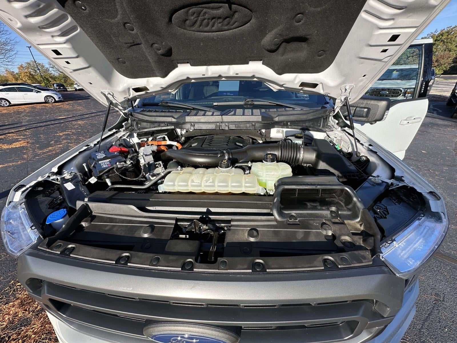 2023 Ford F-150 XLT 4WD SuperCrew 5.5' Box